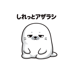 CHIMIROI_20260409082229