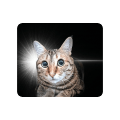 lukeandluna_20260409084551