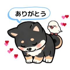 keichan_20260409090815