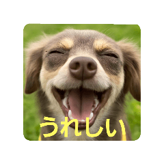 MJ-MAMEKO_20260409114204