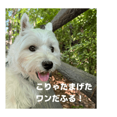 Sato & max's daily life_20260405130137