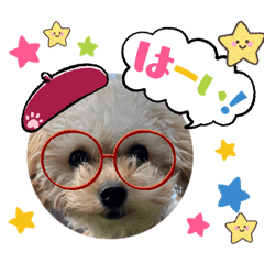 sakumomo_20260409113619