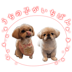 shukuya_20260408184802