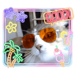 hanahana_20260408202103