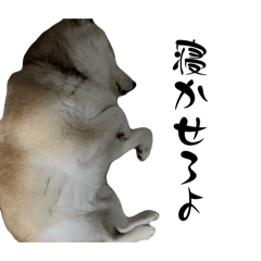 KOUSEI_20260408220431