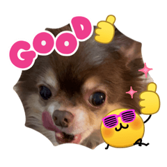 tenko_20260408220832