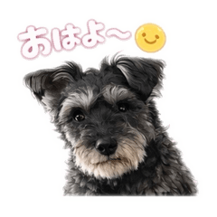 h. hirotaka_20260408220605