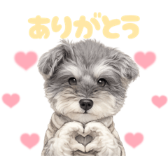 DOG STAMP ORDER_20260409100813