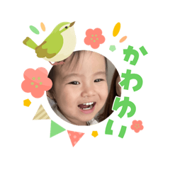 hachi_20260409103534