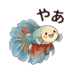 MaruAqua_20260409101258