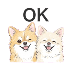 D-m&s_20260409123223