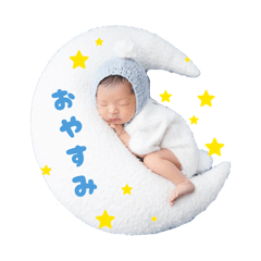 sakura family_20260409