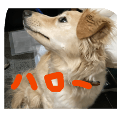 hisato_20260409101504