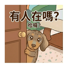 蒂蒂（我是臘腸狗）