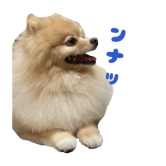 rinrin_20260409002854