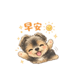 小黑糖專屬日常