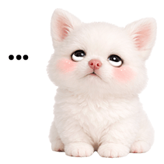 White puppy very cute