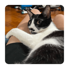 小鬍子的寫真照2