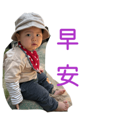 我是小海豚寶貝