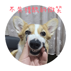 UMI嗚小迷日常2彈