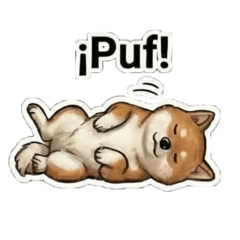 JCGorrito_20260405142246