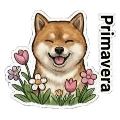 JCGorrito_20260405142727