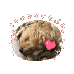 Satomi_20260409120646