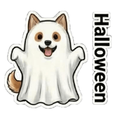 JCGorrito_20260405143308