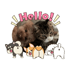 sachi_20260409123421