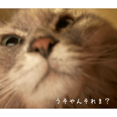 outyam2025_20260405151218