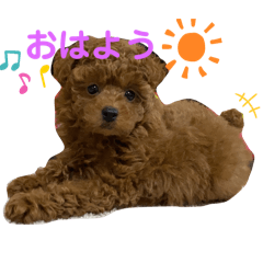 ayamame_20260409070753