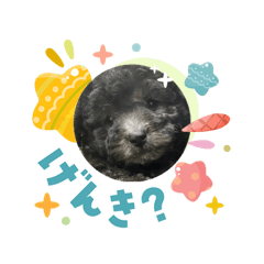 asafuko_20260409071245