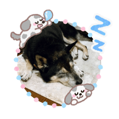 KOMAkoma_20260409064542