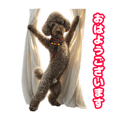 Koharu_20260409071511