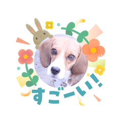 yuuno_20260405151528