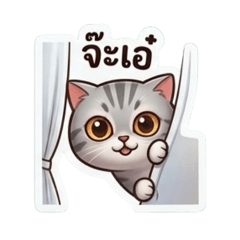 RodMay_20260408171758