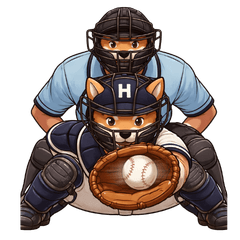 Hachi and His Dream Baseball Club