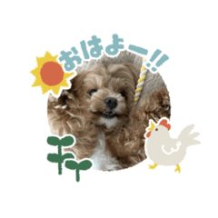 yomelove_20260409105320