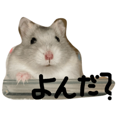 kinakolove_20260409110149