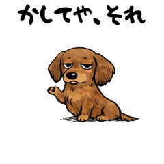 dachshund that speaks in Kansai dialect