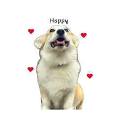 Yuraco_20260408183756