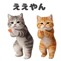 *Moving! Cats everywhere2