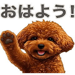 [Greetings] Maltipoo (red) [dog]