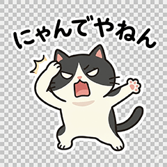 conversations of cats around the world