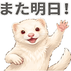 [Greetings] Ferret (albino)
