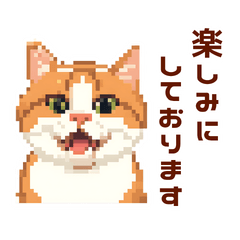 Cute & Useful Pixel Cats