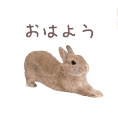 Noah's Ark_20260409003238