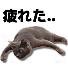 piroyuki_20260409042158