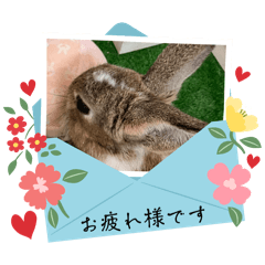 usahiyo1106_20260409064733