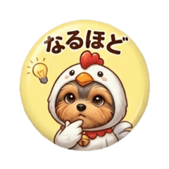 Yorkie chicken costume sticker